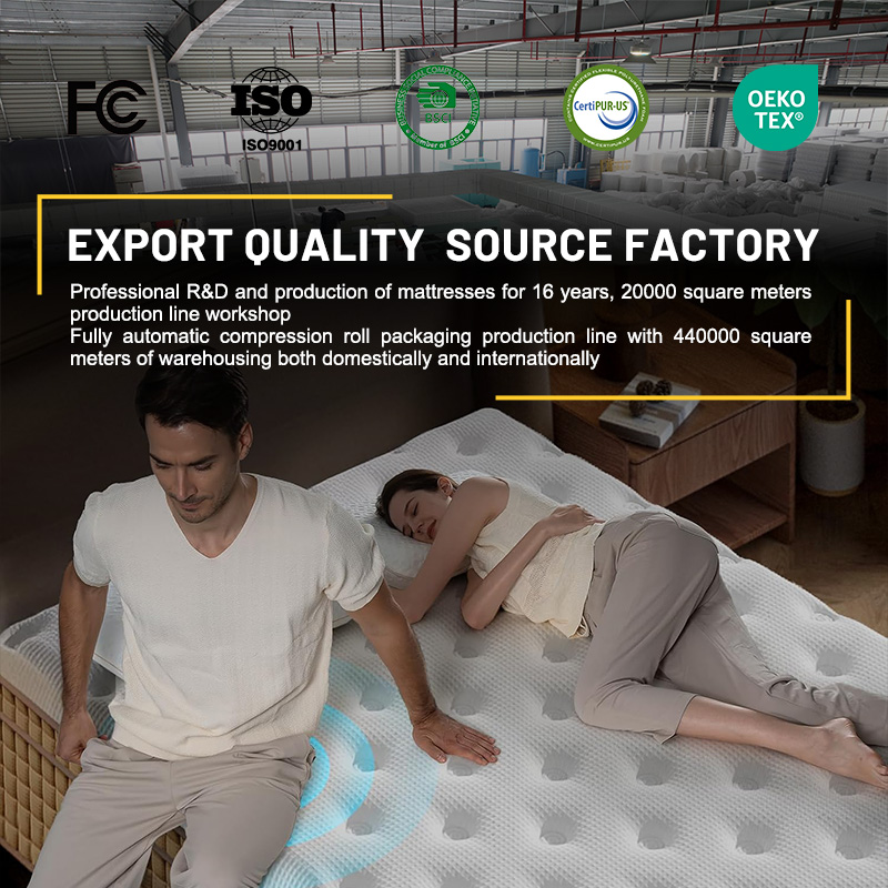 Matelas HOMEMATE 14 pouces en  - Memory Foam Mattress In A Box Queen avis et prix